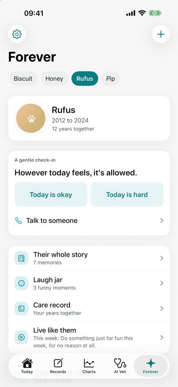 Forever for a pet who has passed away, with their memories, a laugh jar and their care record